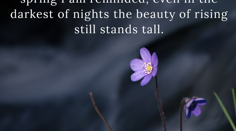 Enchanting Whispers of Spring – Affirmation 21-02