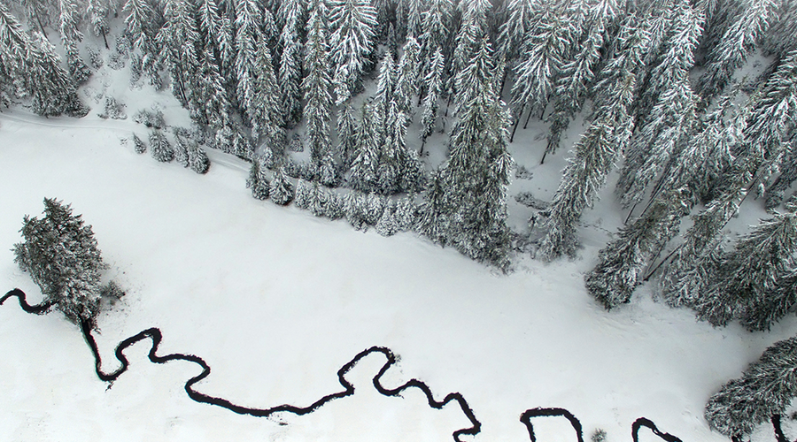 Enchanting Whispers of Winter—Day Twenty-Two-03