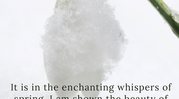 Enchanting Whispers of Spring – Affirmation 22-03