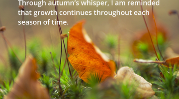 Enchanting Whispers of Autumn—Day Twenty-Four-03