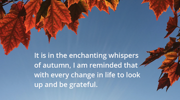 Enchanting Whispers of Autumn—Day Twenty-Five-01