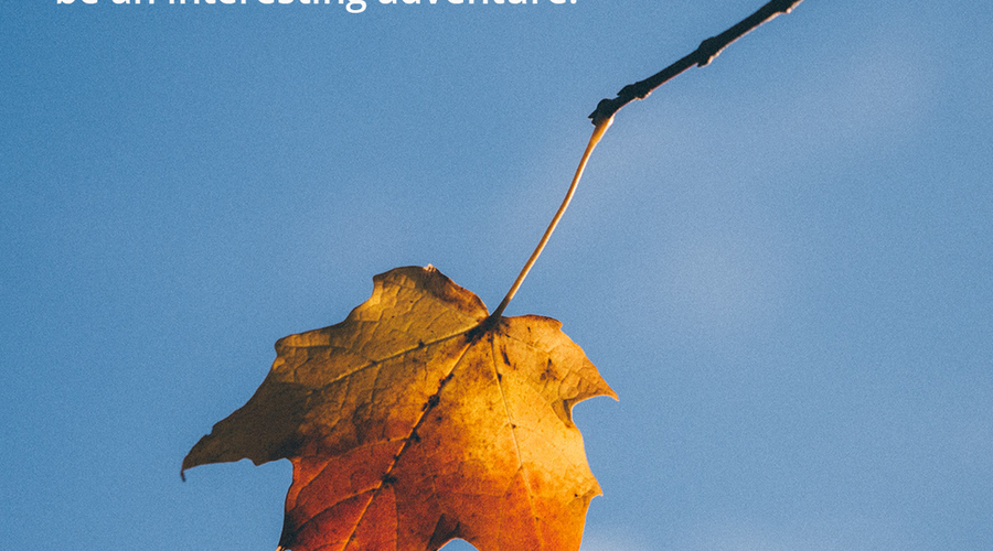 Enchanting Whispers of Autumn—Day Twenty-Five-02