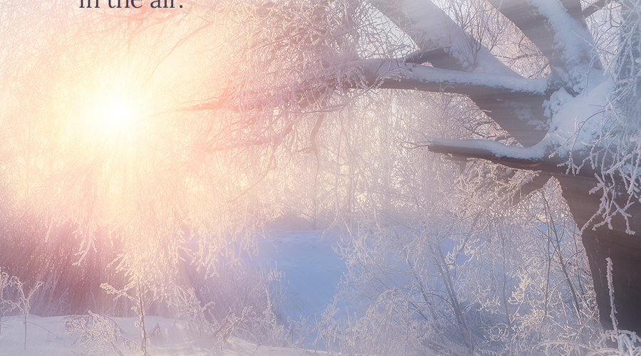 Enchanting Whispers of Winter—Day Twenty-Five-03