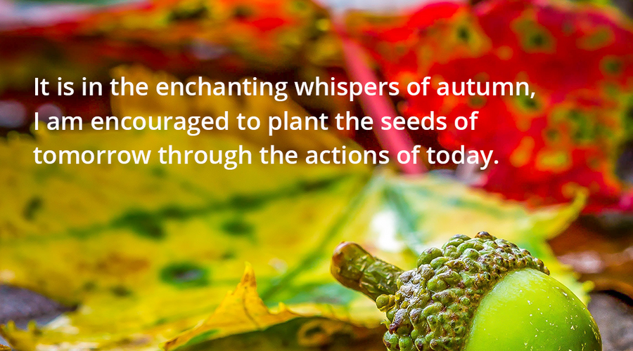 Enchanting whispers of Autumn—Day Twenty-Six-01