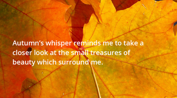 Enchanting whispers of Autumn—Day Twenty-Six-02