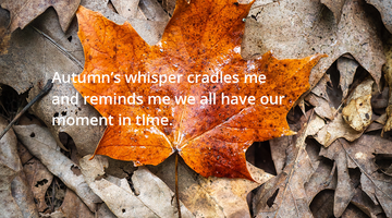 Enchanting whispers of Autumn—Day Twenty-Seven-02