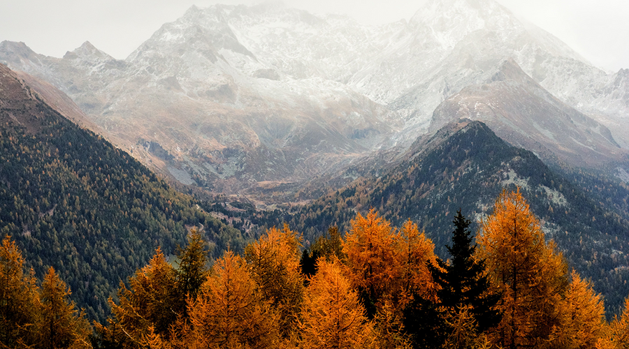 Enchanting whispers of Autumn—Day Twenty-Seven-03