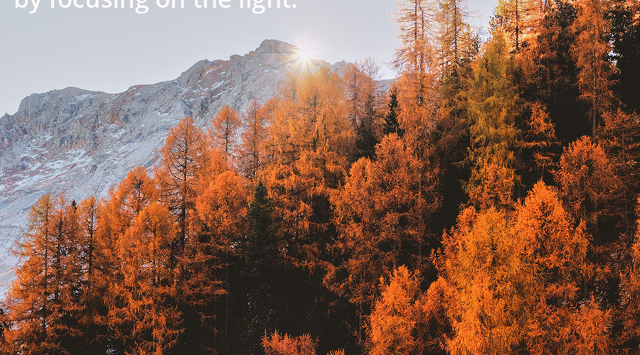 Enchanting Whispers of Autumn—Day Twenty-Eight-01