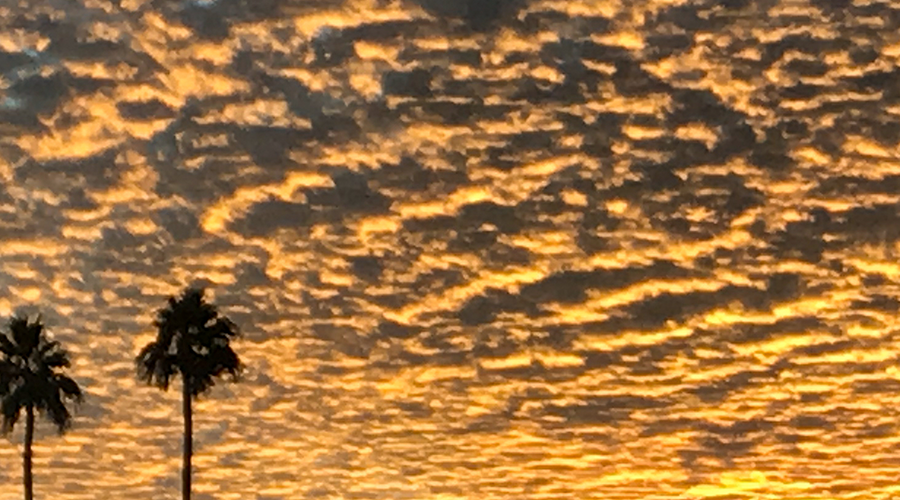 Enchanting Whispers of Summer—28-01