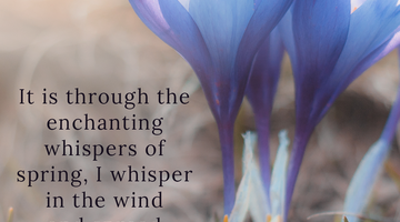 Enchanting Whispers of Spring – Affirmation 28-03