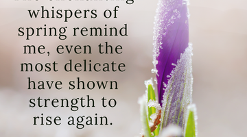 Enchanting Whispers of Spring – Affirmation 29-01