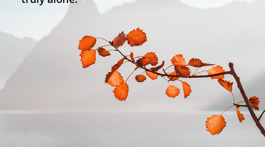 Enchanting Whispers of Autumn—Day Thirty-03
