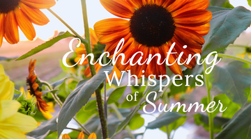 Enchanting Whispers of Summer — Introduction