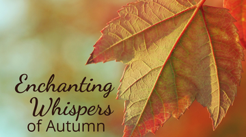 Enchanting Whispers of Autumn—Introduction