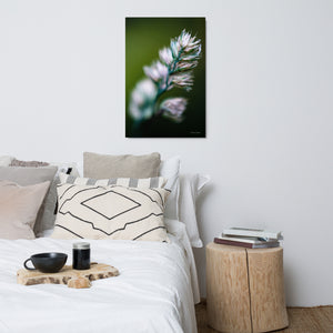 Carin Camen Exclusive -  Enchanting Touch - Metal prints