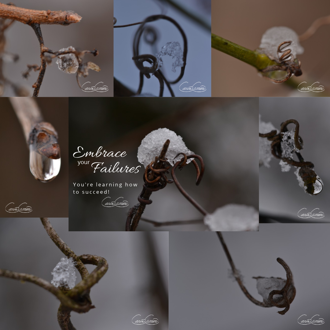 Collage of Carin Camen’s experimental winter photographs featuring ice, snow, and frozen natural details with the words Embrace Your Failures.