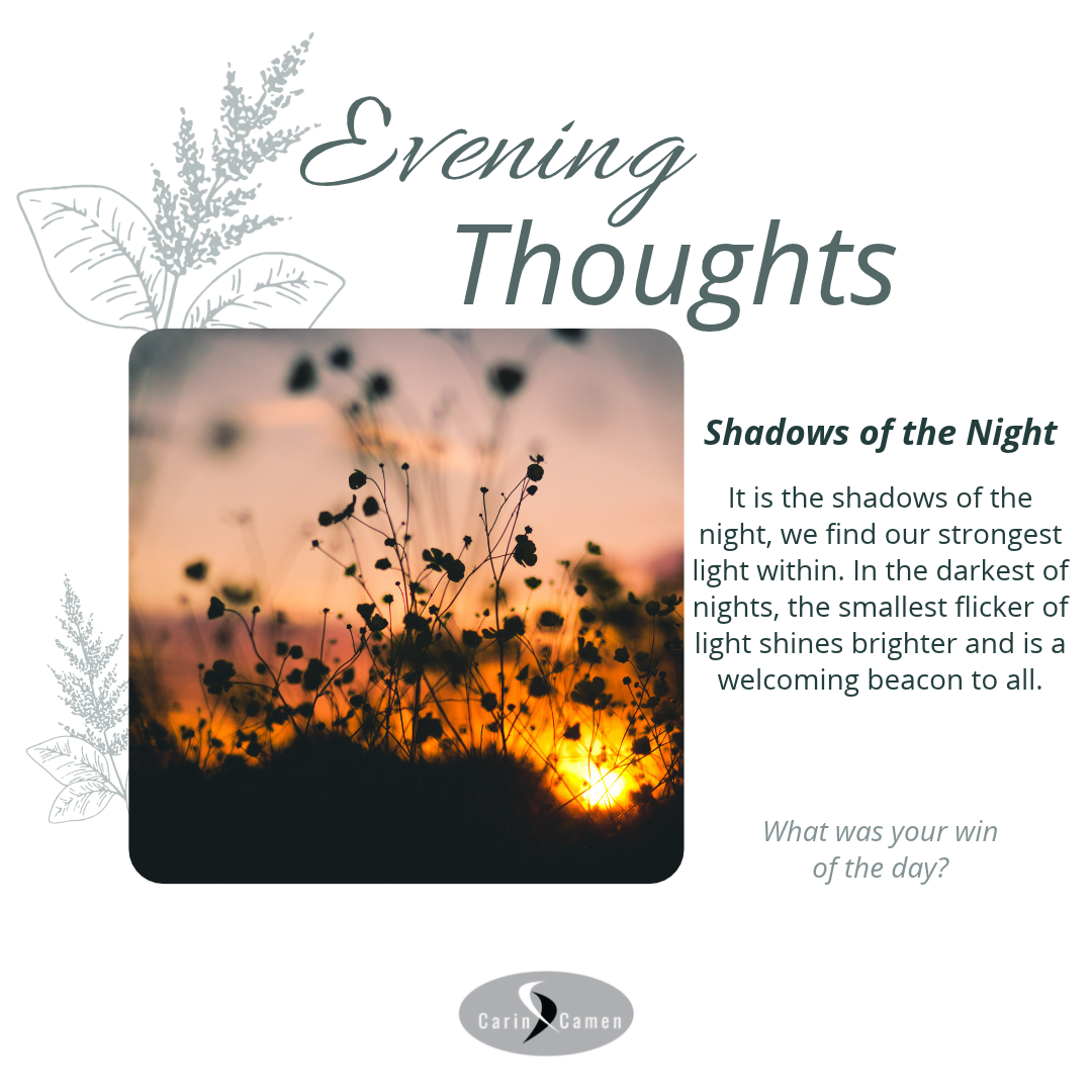 Evening Thoughts design featuring sunset photography framed by illustrated branches with a reflective quote and question.